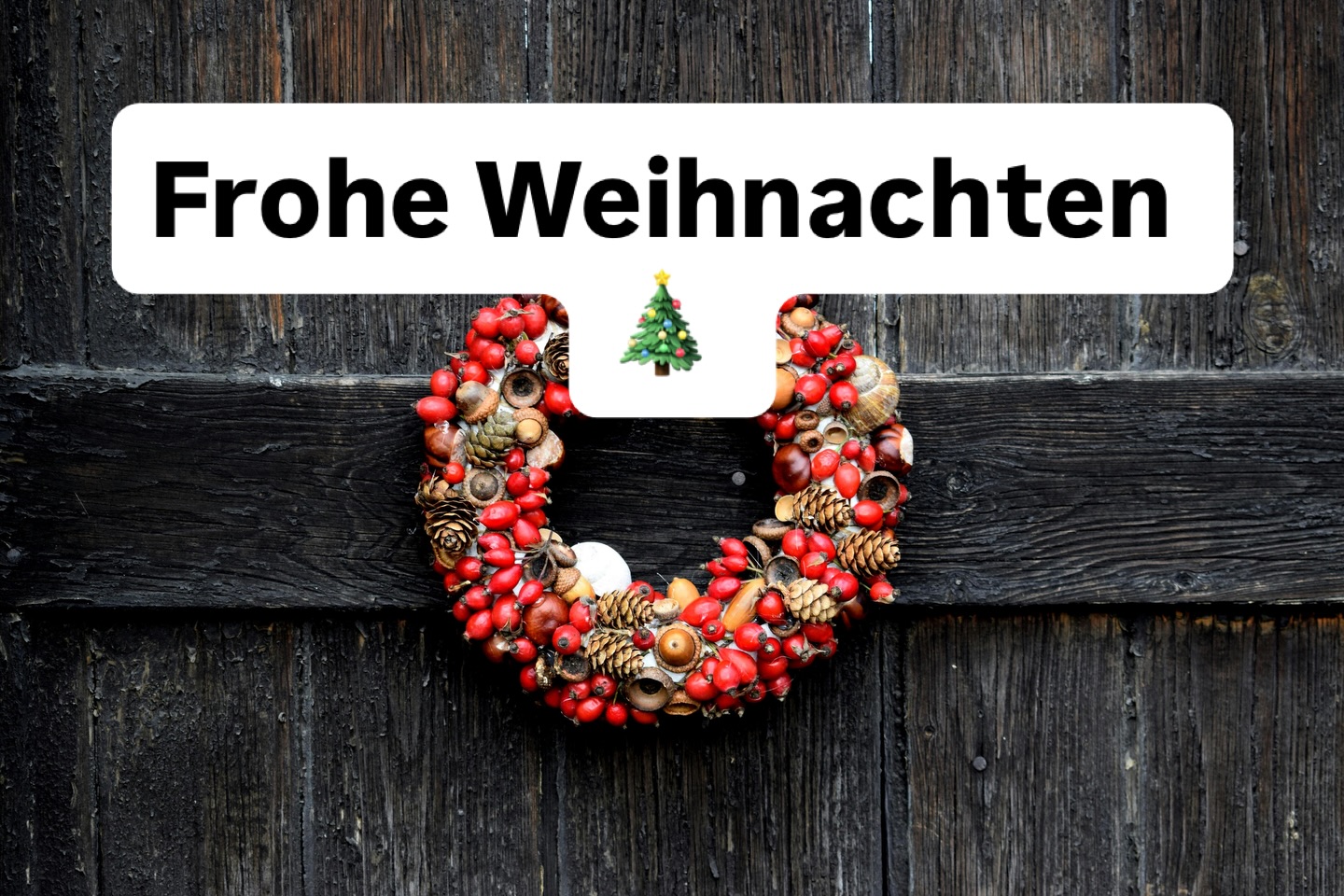 Liebe Kunden, unser Betrieb ist wegen Betriebsurlaub vom 20.12.2025 bis einschließlich 06.01.2026 geschlossen. Wir wünschen Ihnen frohe Weihnachten und einen guten Start ins neue Jahr. 
Wir haben viel vor.